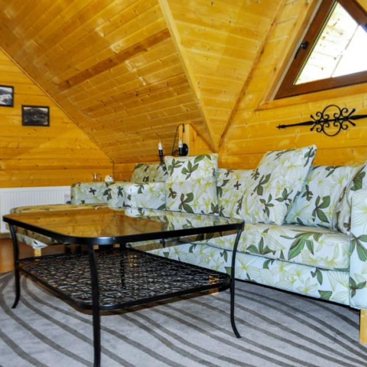 Зона отдыха в гостиной номера 2 местный 2 комнатный Cottage санатория Машук Аква-Терм в Железноводске