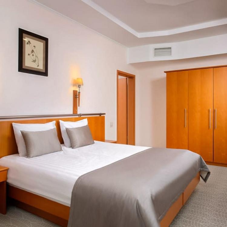 2 местный 2 комнатный Люкс Suite 1 категории, Корпус С. Санаторий Машук Аква-Терм. Железноводск